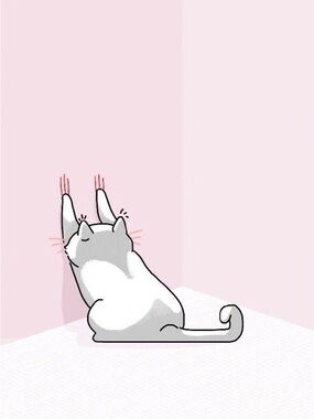 Meet your Posher, Kitty